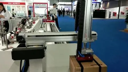 Xy Positioning Stage Ballscrew Linear Stages Linear Modules